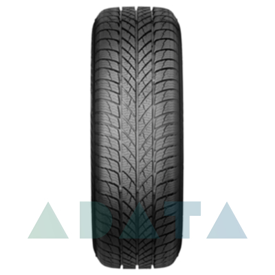 Paxaro INVERNO 225/65 R17 106H XL FR